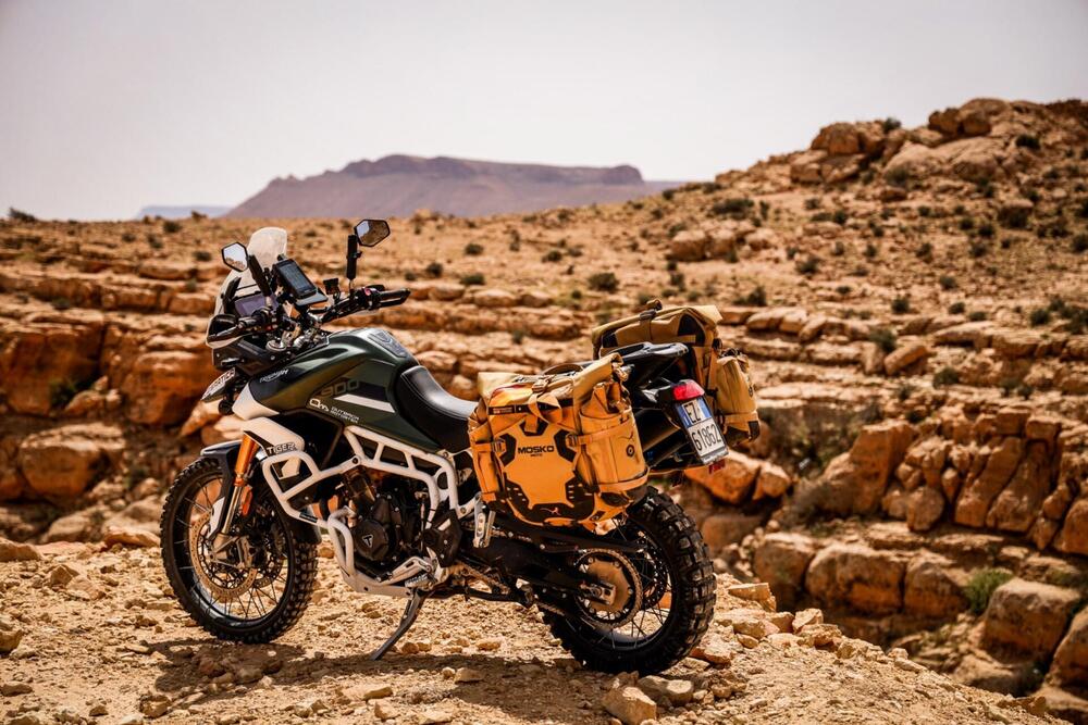 Triumph Tiger 900 Rally Pro (2020 - 23) (7)