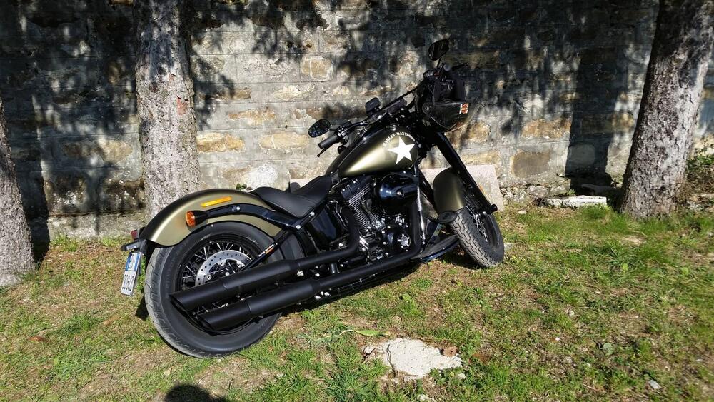 Harley-Davidson 1800 Slim S (2015 - 17) - FLS (2)