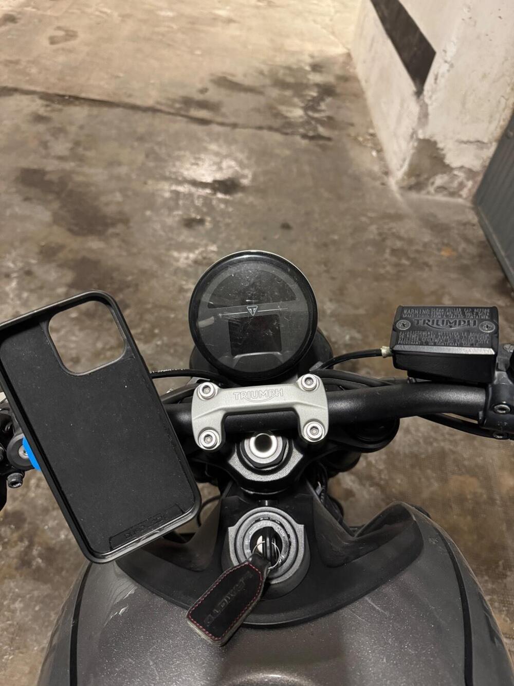 Triumph Trident 660 (2021 - 24) (3)