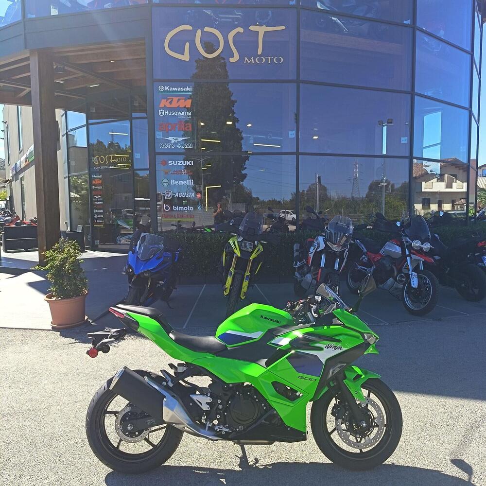 Kawasaki Ninja 500 SE (2024 - 26)