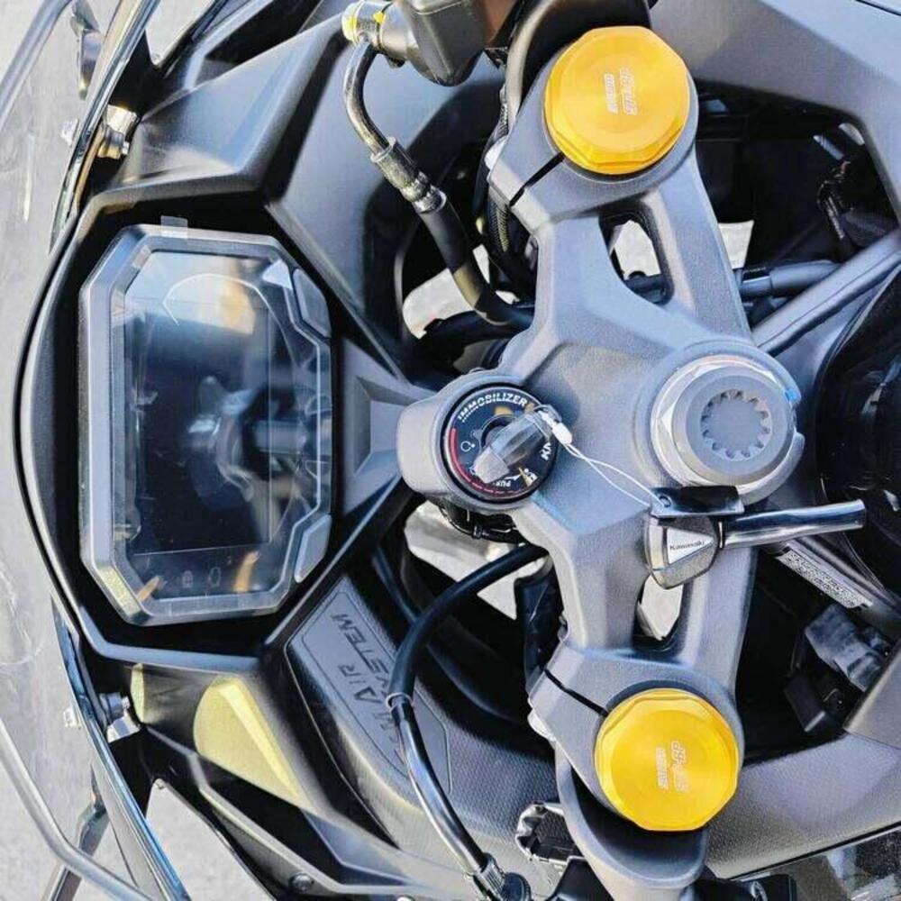 Kawasaki Ninja ZX-4R (2024 - 26) (7)