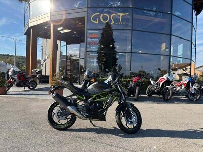 Kawasaki Z 125 (2021 - 24) nuova