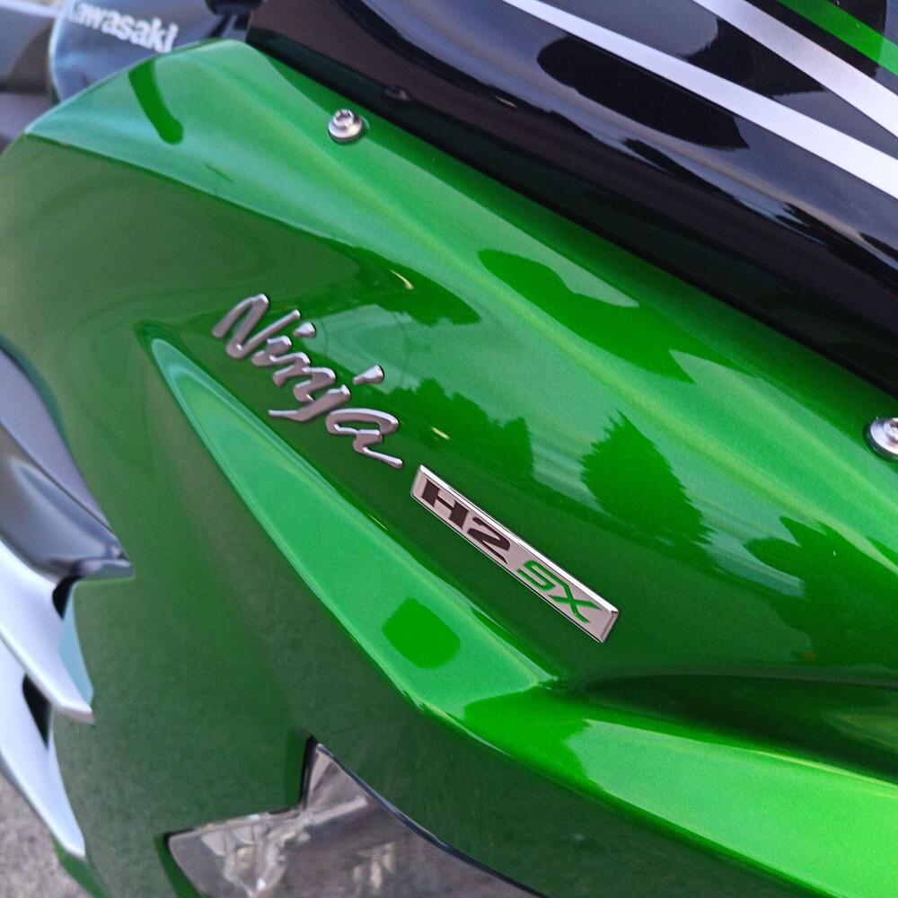 Kawasaki Ninja H2 SX SE (2023 - 26) (11)