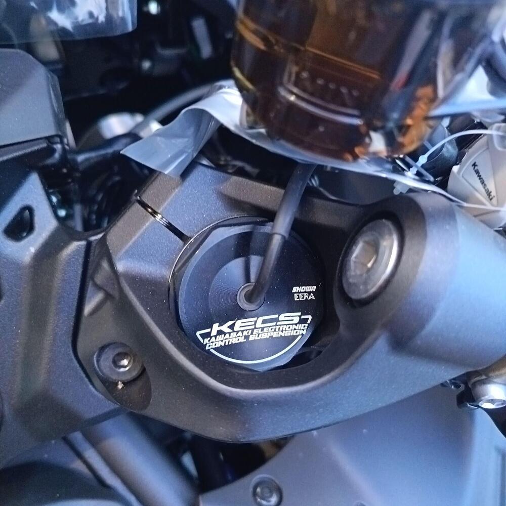 Kawasaki Ninja H2 SX SE (2023 - 26) (13)