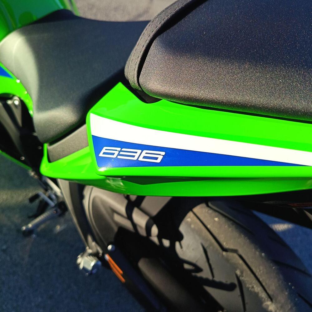 Kawasaki Ninja 636 ZX-6R (2024 - 26) (9)