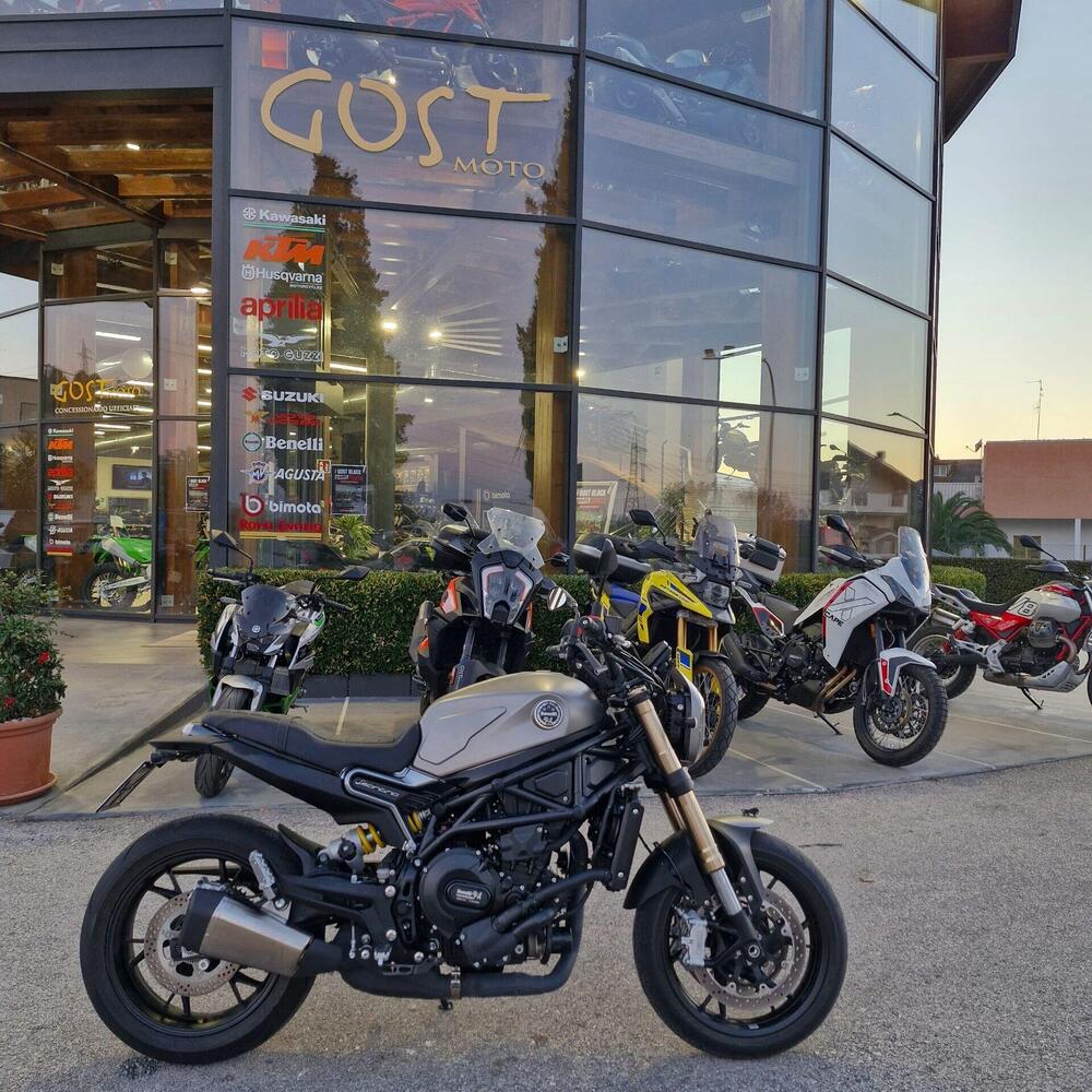 Benelli Leoncino 800 (2022 - 26)