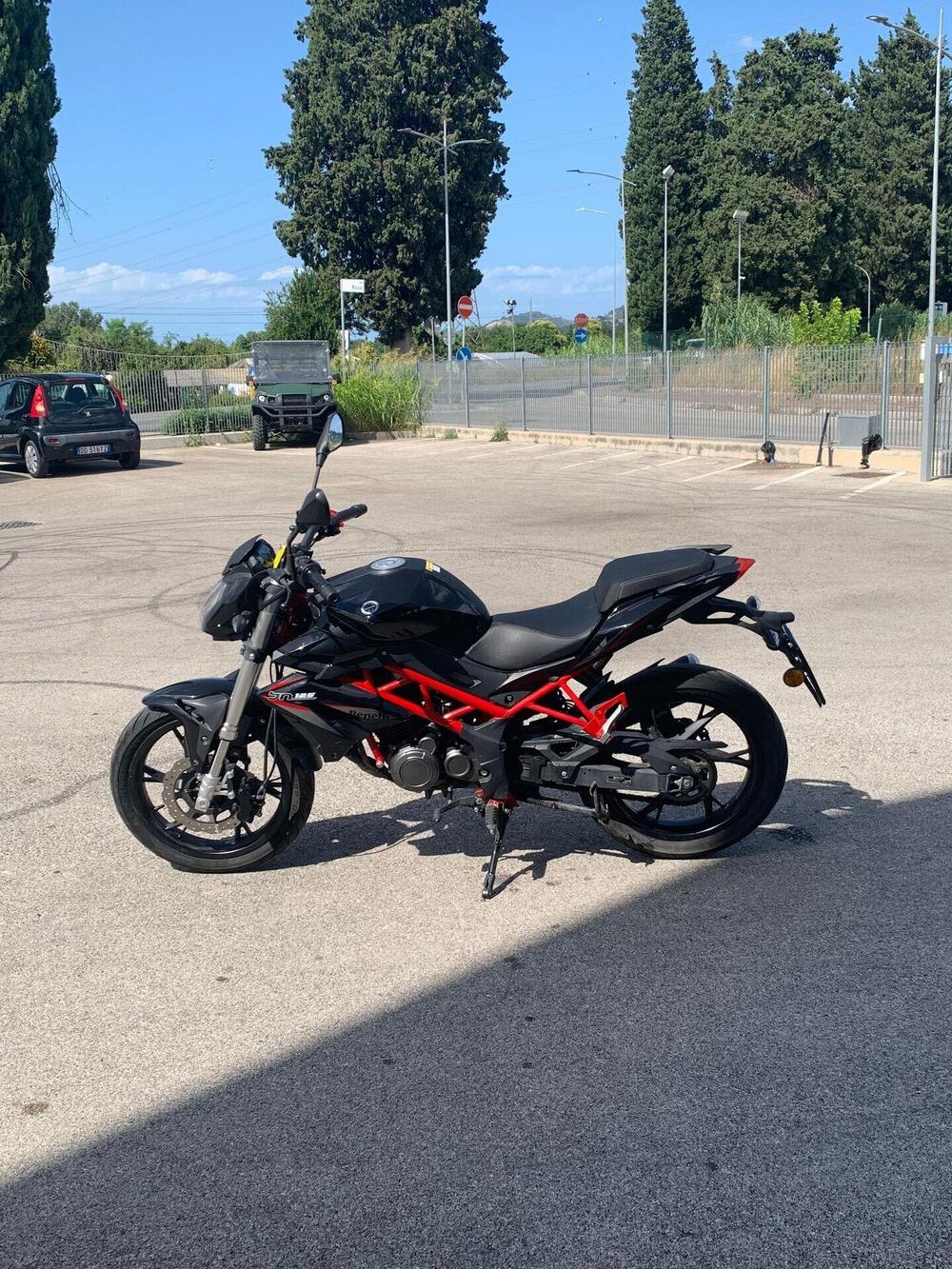 Benelli BN 125 (2026) (5)