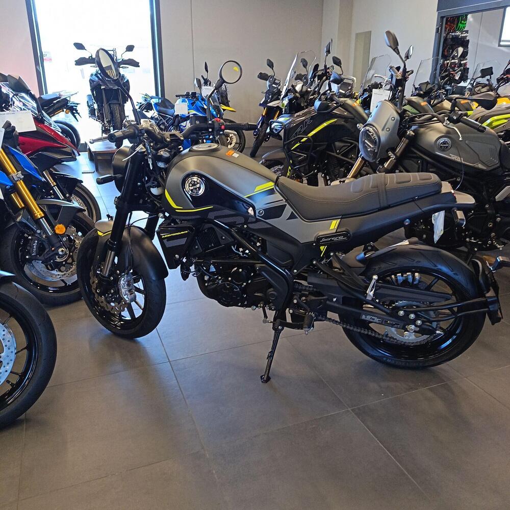 Benelli Leoncino 250 (2021 - 25) (4)