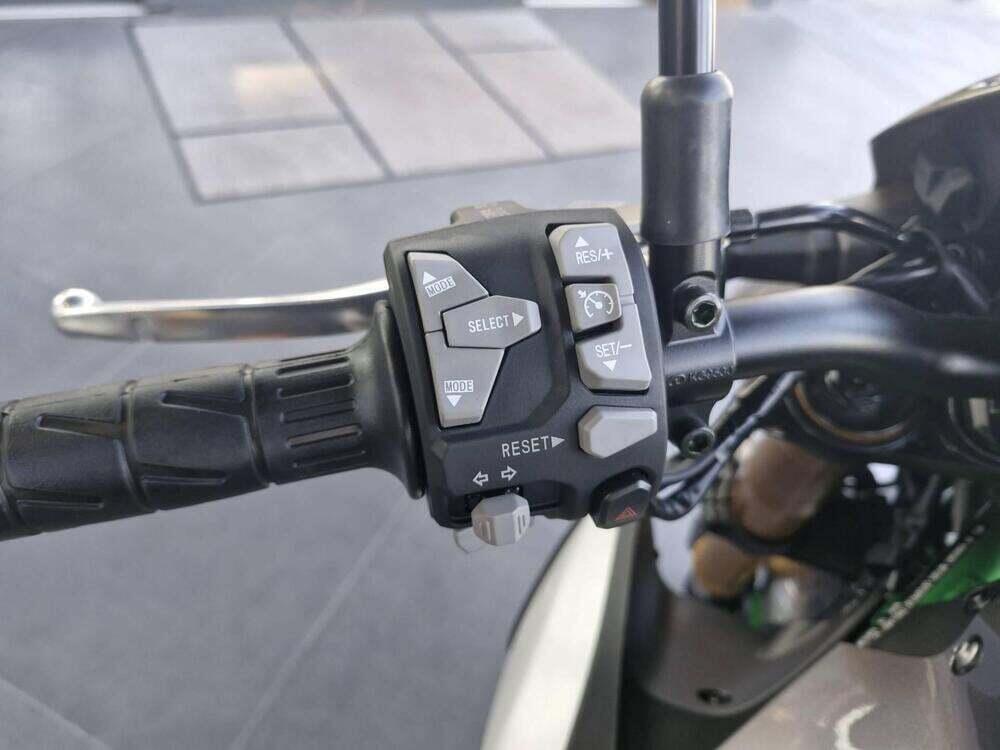 Kawasaki Z 900 (2025 - 26) (10)