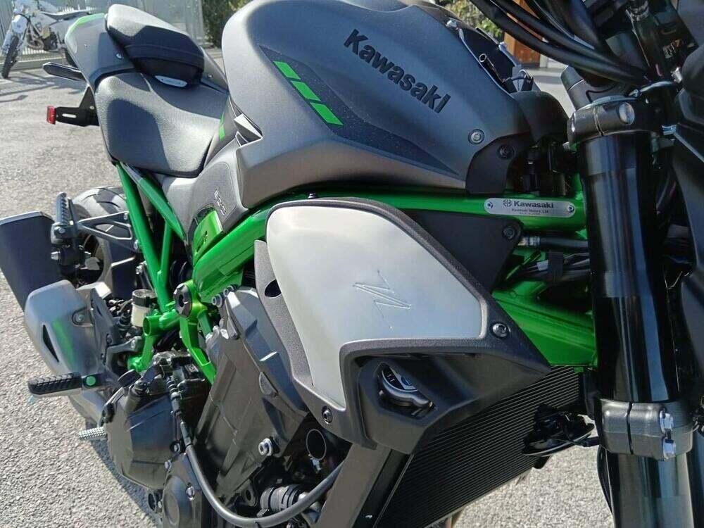 Kawasaki Z 900 (2025 - 26) (9)