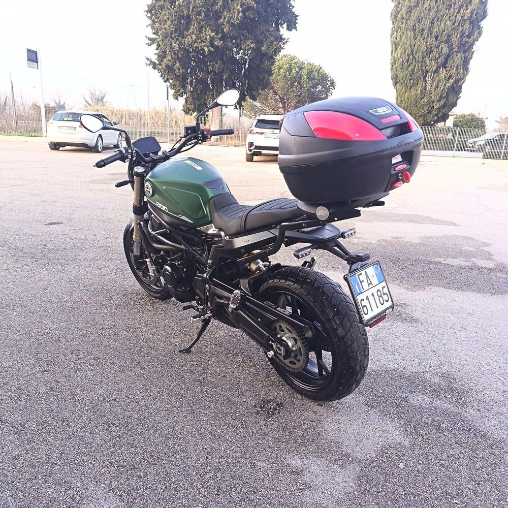 Benelli Leoncino 800 (2022 - 26) (3)