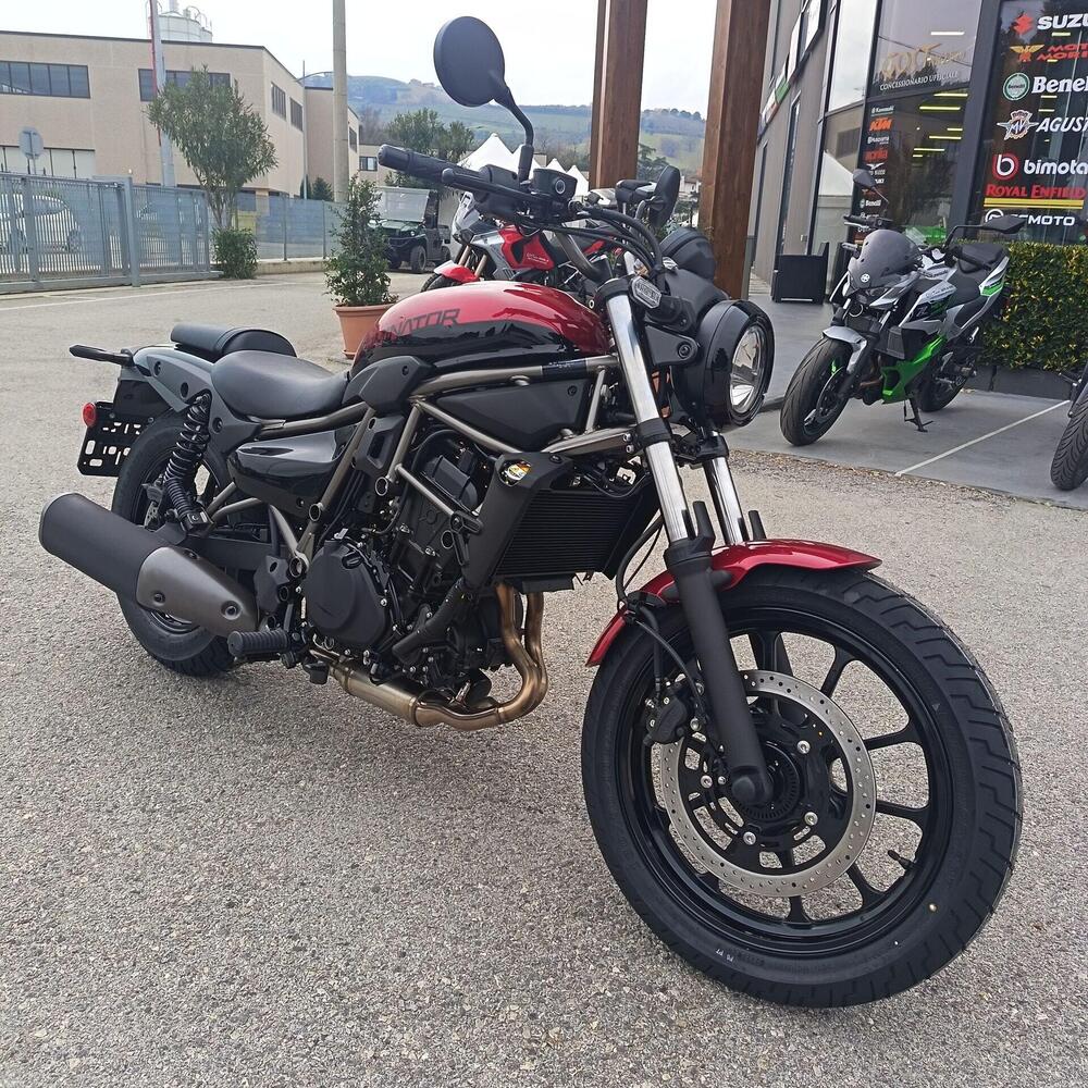 Kawasaki Eliminator 500 (2024 - 26) (5)