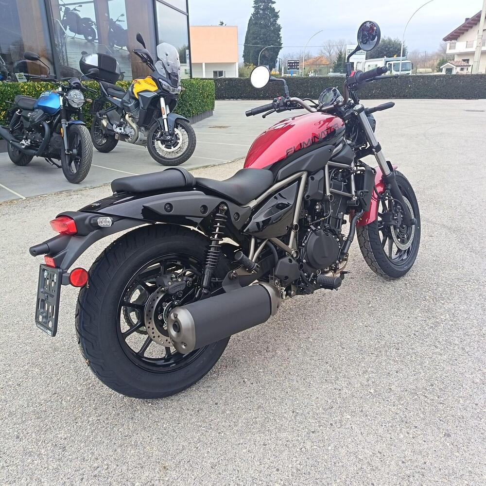 Kawasaki Eliminator 500 (2024 - 26) (8)