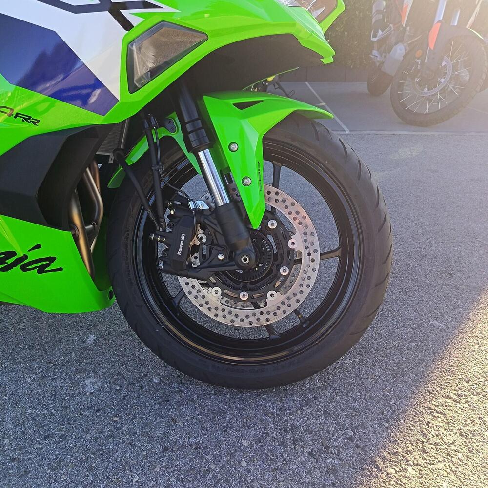 Kawasaki Ninja ZX-4RR (2024 - 26) (5)
