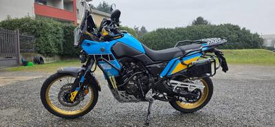 Yamaha T&eacute;n&eacute;r&eacute; 700 Rally Edition (2022 - 24) usata