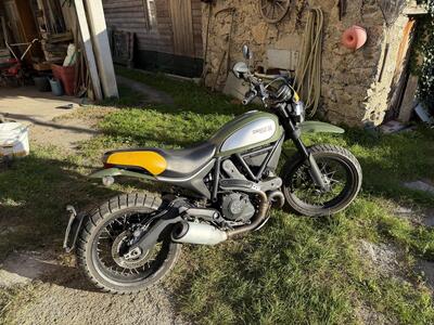 Ducati Scrambler 800 Urban Enduro (2015 - 16) usata