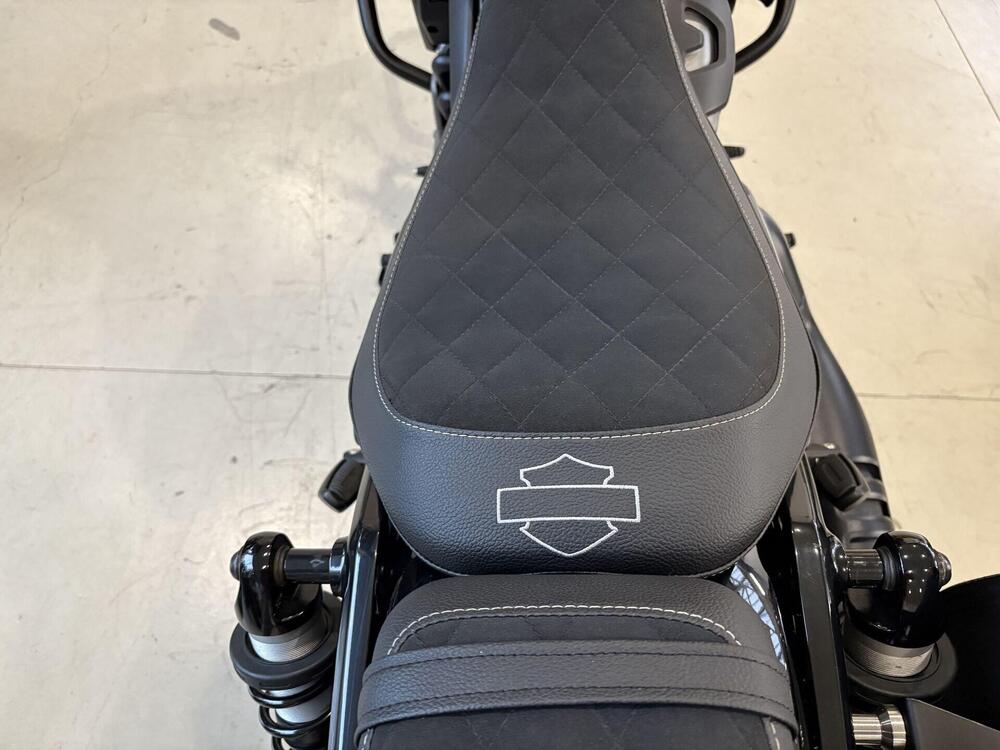 Harley-Davidson Nightster Special (2023 - 26) (5)