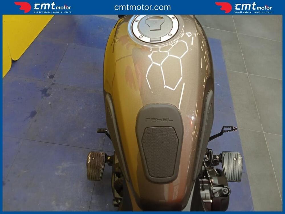 Honda CMX 500 Rebel + Special Edition (2022 - 24) (8)