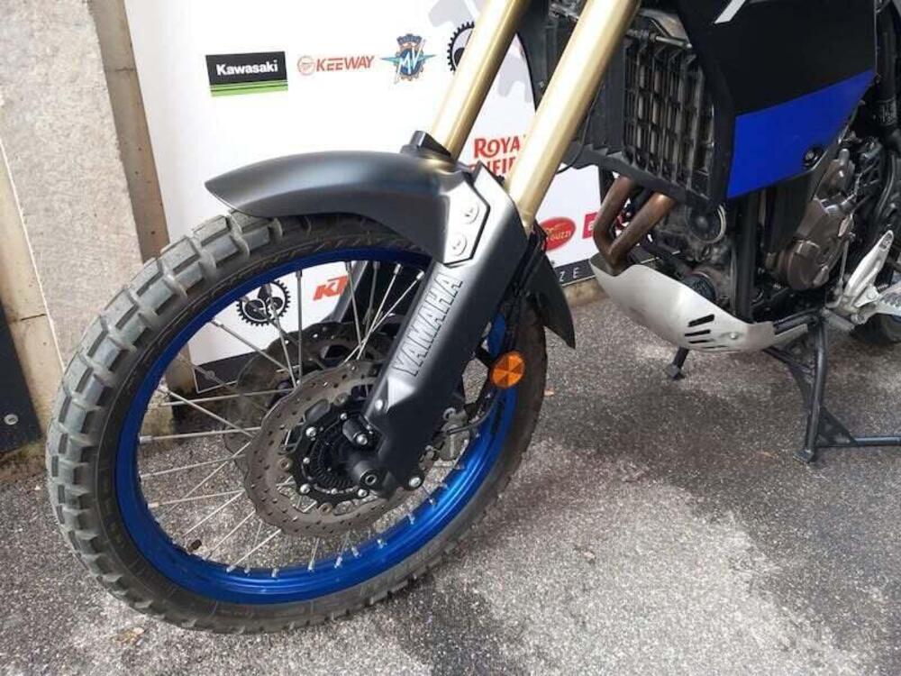 Yamaha Ténéré 700 (2019 - 20) (16)
