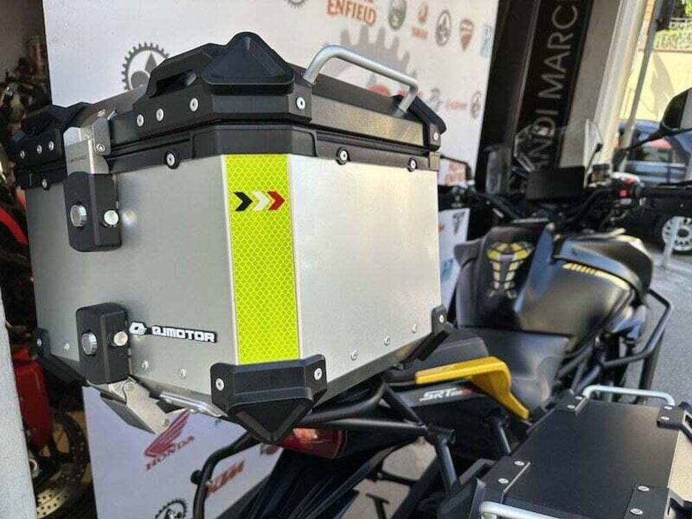 QJ Motor SRT 800 SX (2024 - 25) (5)