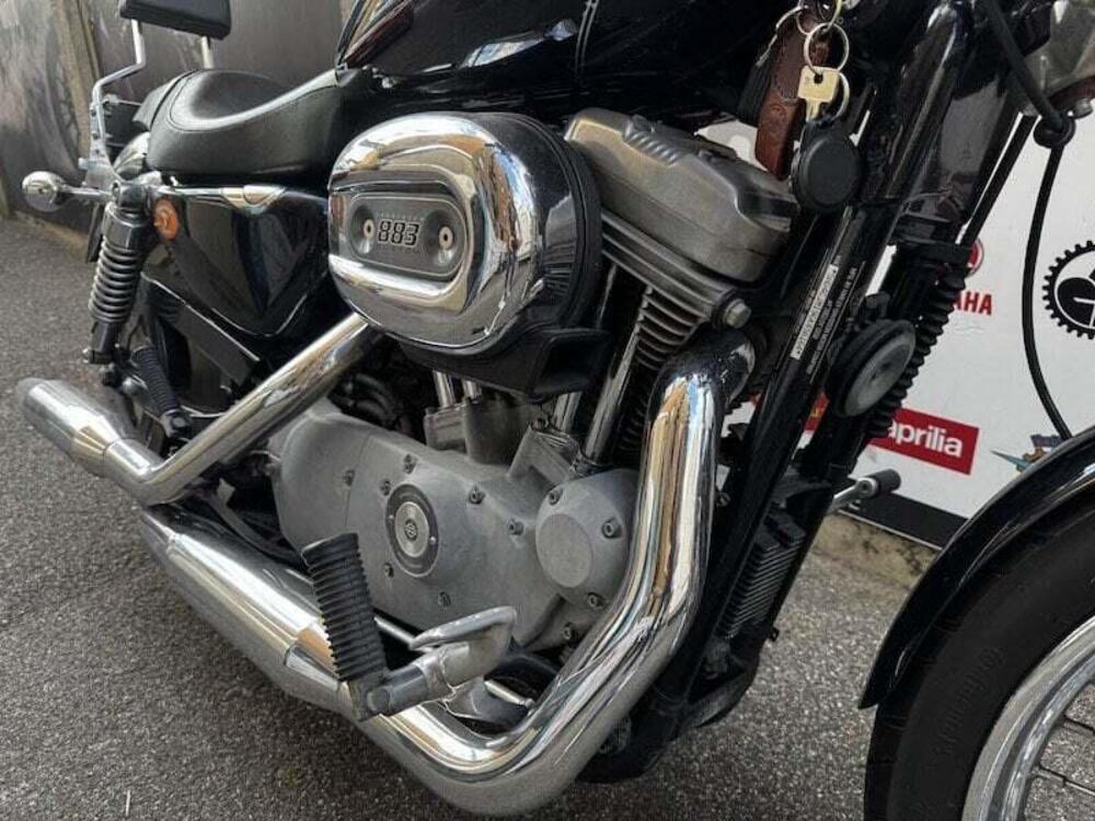 Harley-Davidson 883 Custom (2001 - 05) - XL 53C (7)