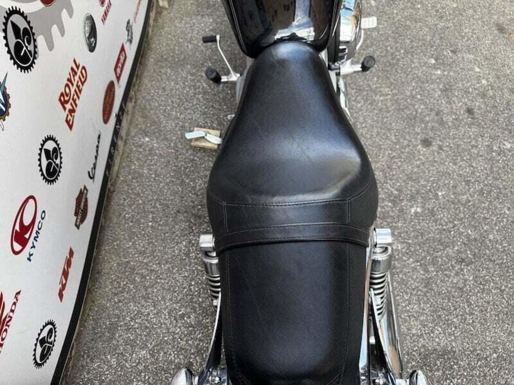 Harley-Davidson 883 Custom (2001 - 05) - XL 53C (14)