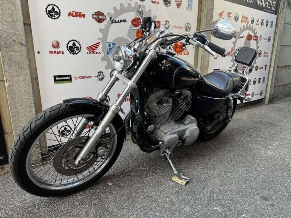 Harley-Davidson 883 Custom (2001 - 05) - XL 53C (19)