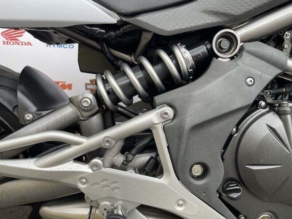 Kawasaki ER-6N (2009 - 11) (8)