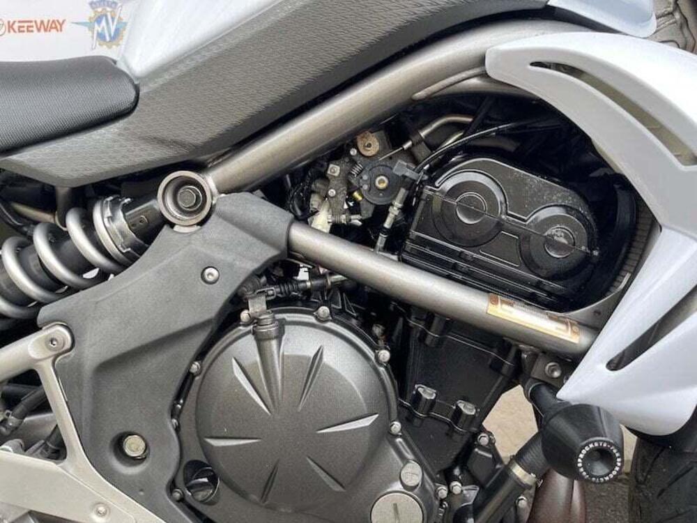 Kawasaki ER-6N (2009 - 11) (11)