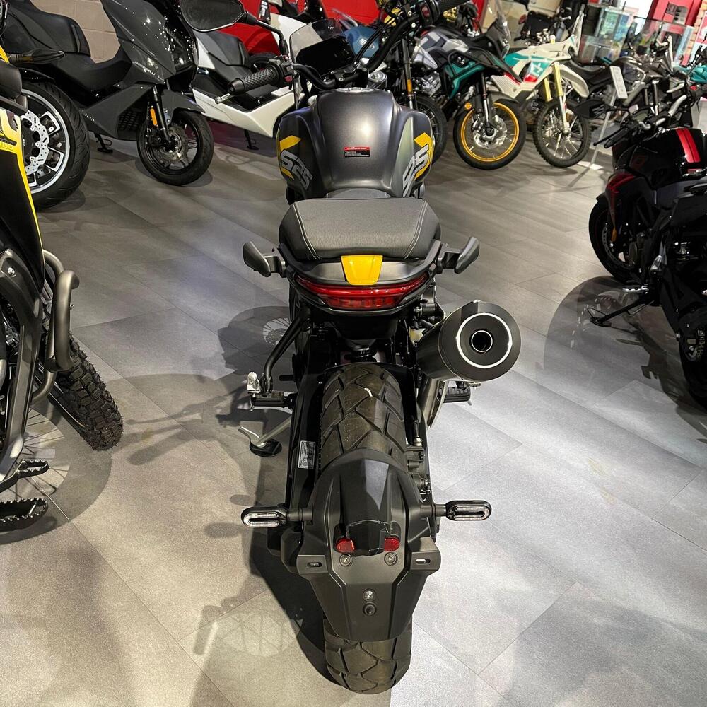 Voge Trofeo 525ACX Scrambler (2023 - 26) (4)