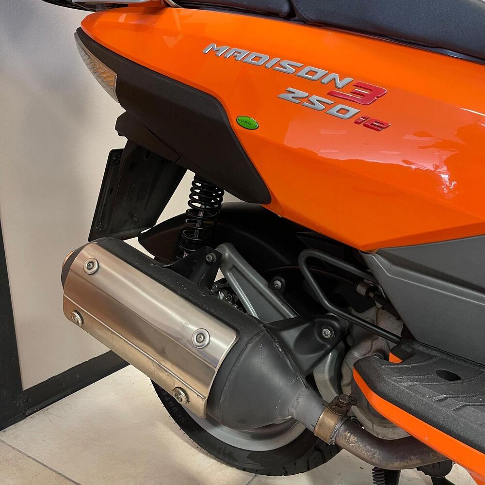 Malaguti Madison 250 3 i.e. (7)