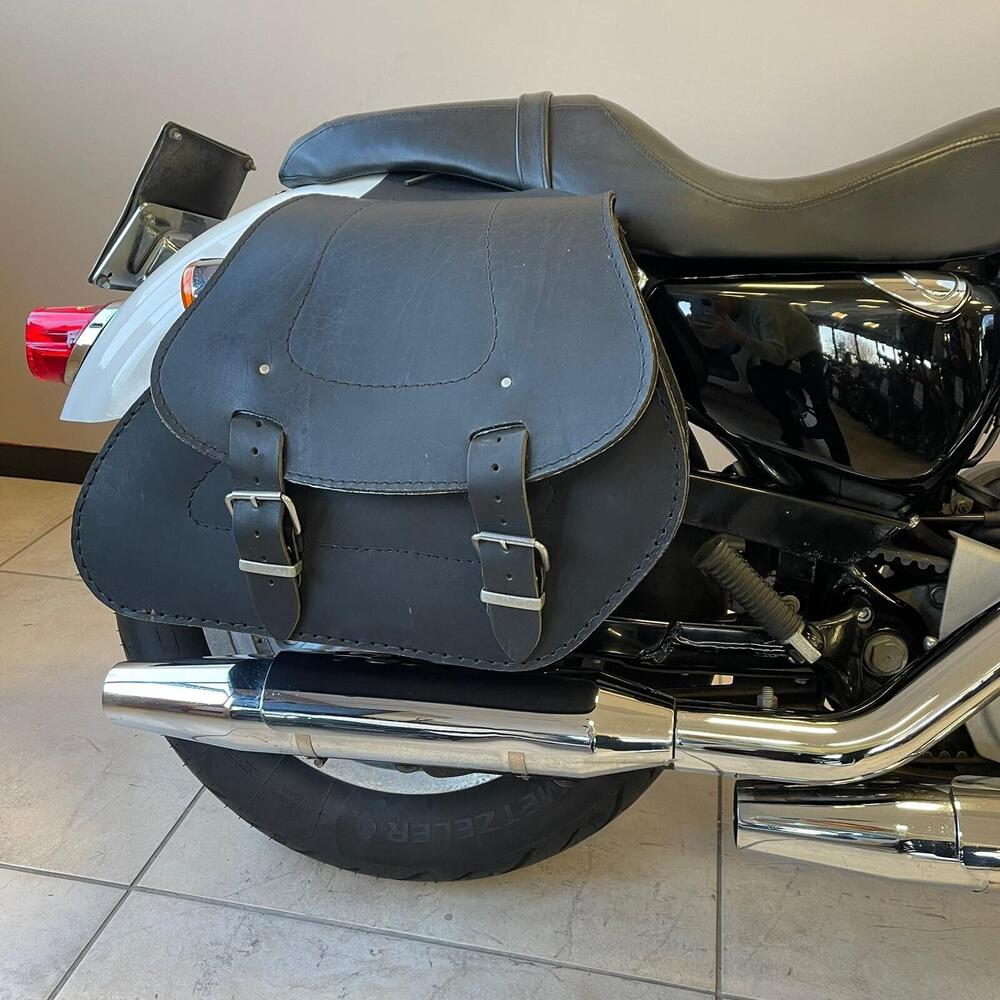 Harley-Davidson 883 Low (2008 - 12) - XL 883L (8)