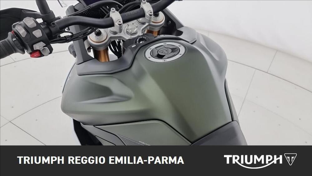 Triumph Tiger 900 Rally Pro (2020 - 23) (12)