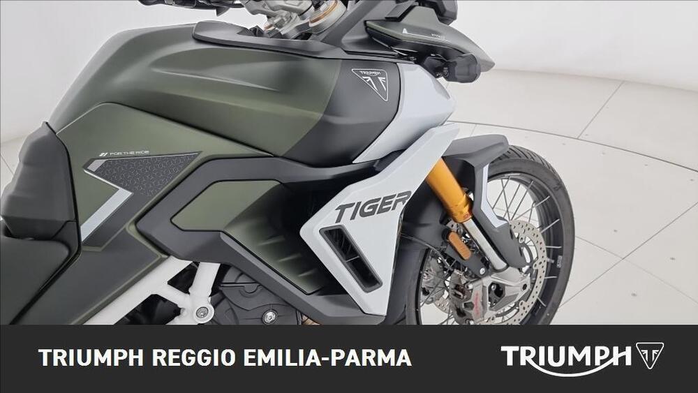Triumph Tiger 900 Rally Pro (2020 - 23) (20)