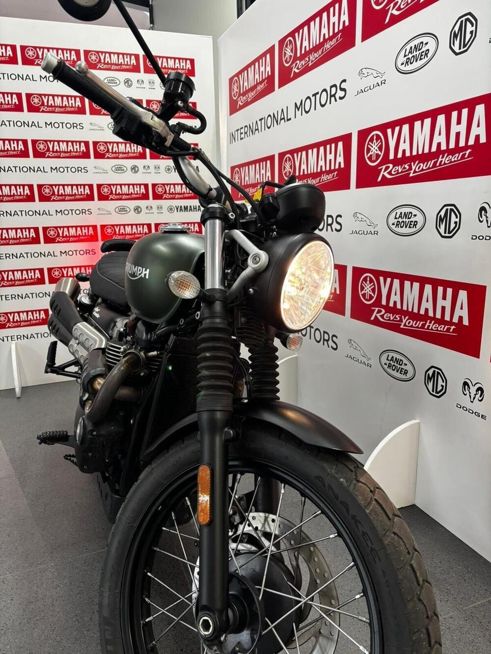 Triumph Street Scrambler 900 (2017 - 18) (6)