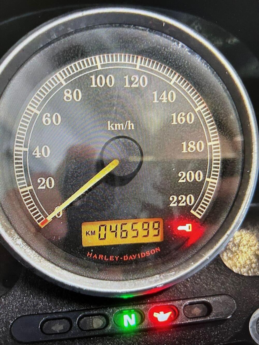 Harley-Davidson 883 Low (2006 - 07) - XL 883L (8)