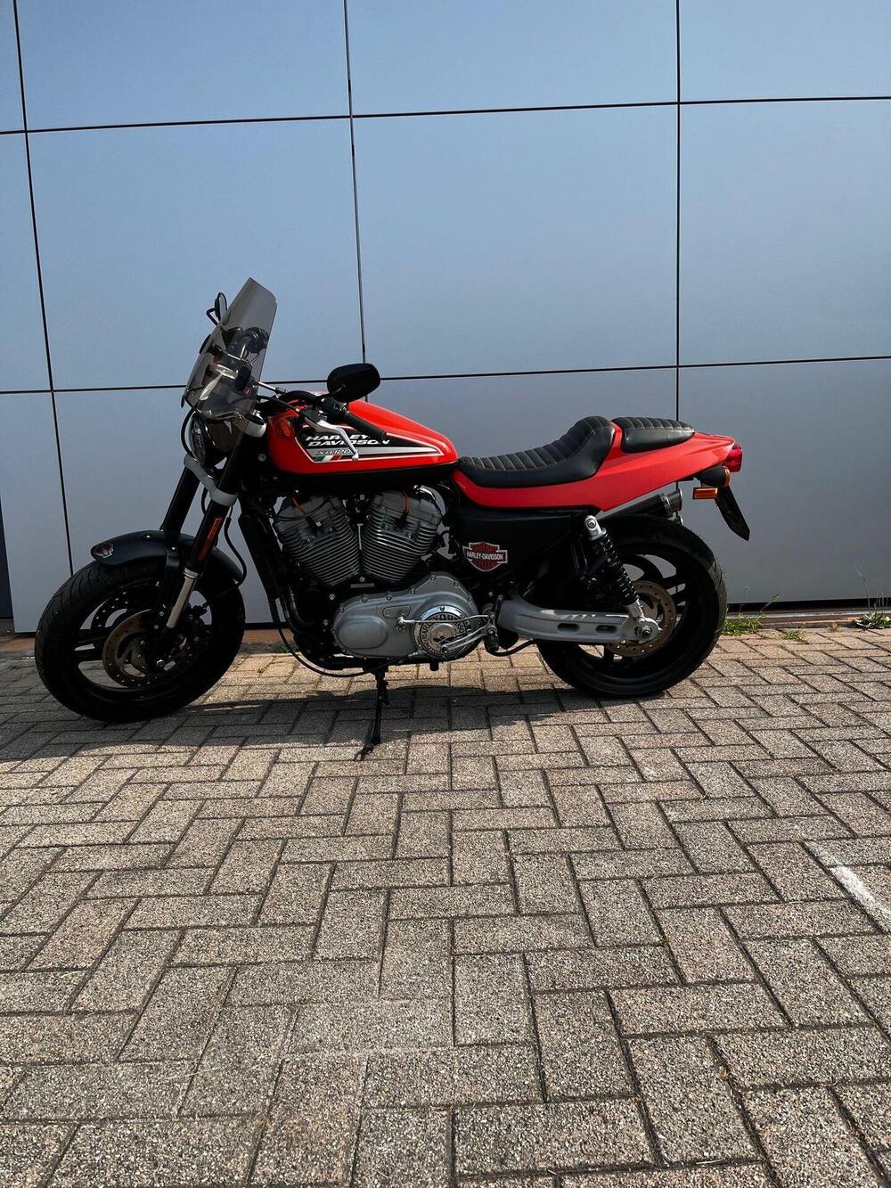 Harley-Davidson 1200 XR (2009 - 12) (5)