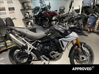Triumph Tiger 900 Rally Pro (2024 - 26) usata