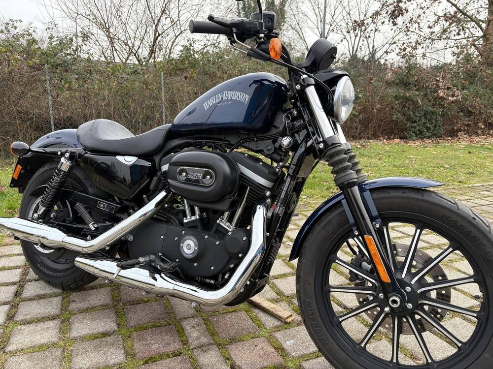 Harley-Davidson 883 Iron (2012 - 14) - XL 883N (7)
