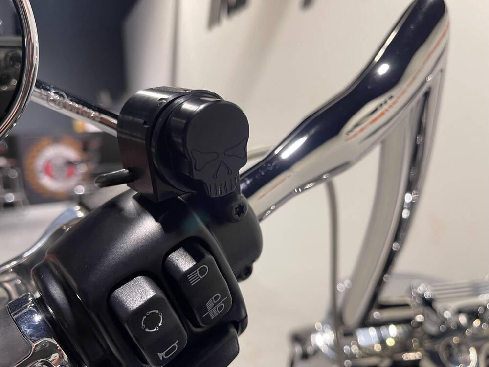 Harley-Davidson Fat Boy 114 (2021 - 24) (9)