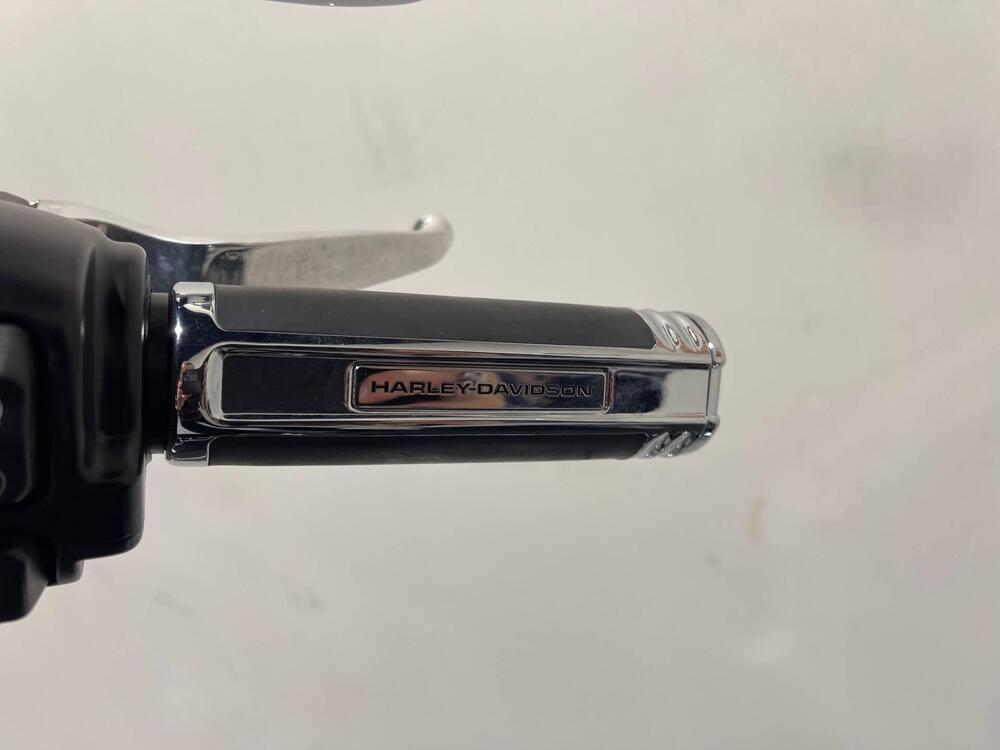 Harley-Davidson Fat Boy 114 (2021 - 24) (10)