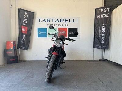 Moto Guzzi V7 Stone (2021 - 24) usata