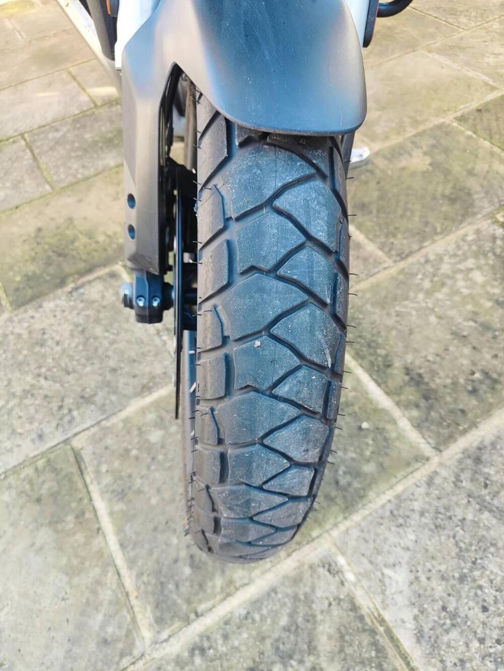 Moto Guzzi Stelvio (2024 - 26) (5)