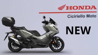 Honda ADV 350 Special Edition (2025 - 26) nuova