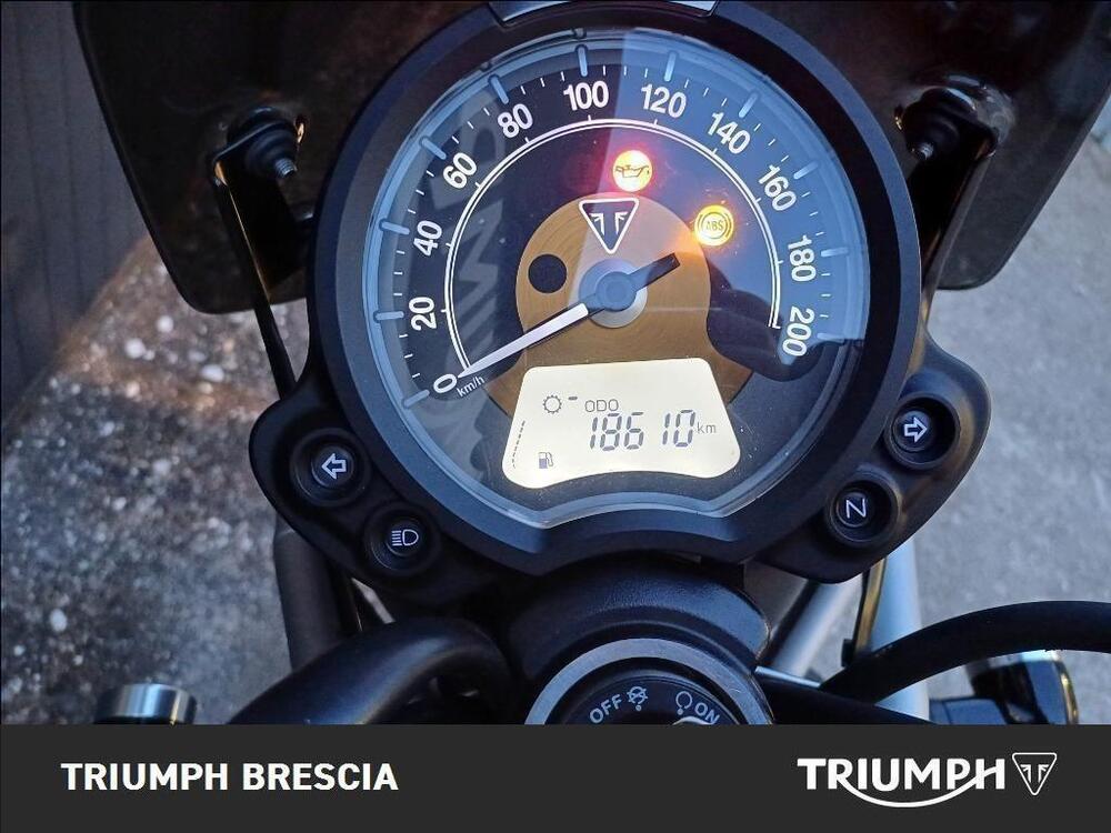 Triumph Street Scrambler 900 (2017 - 18) (8)