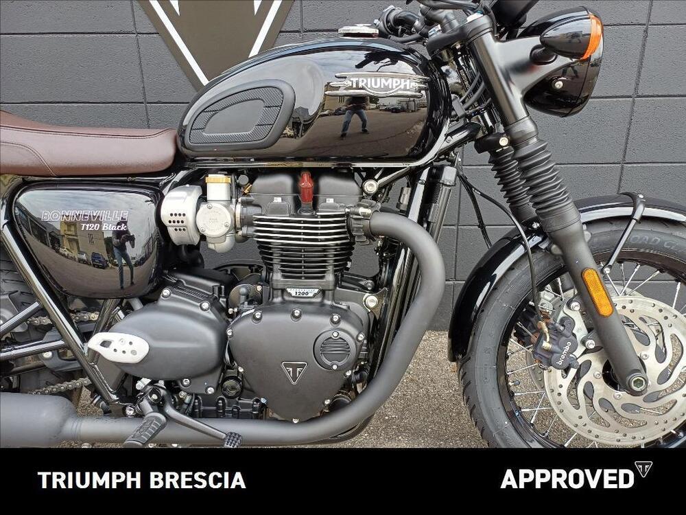 Triumph Bonneville T120 Black (2026) (5)