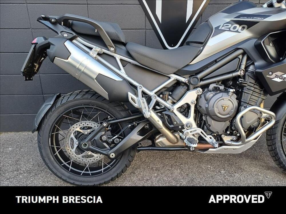 Triumph Tiger 1200 Rally Pro (2024 - 26) (4)