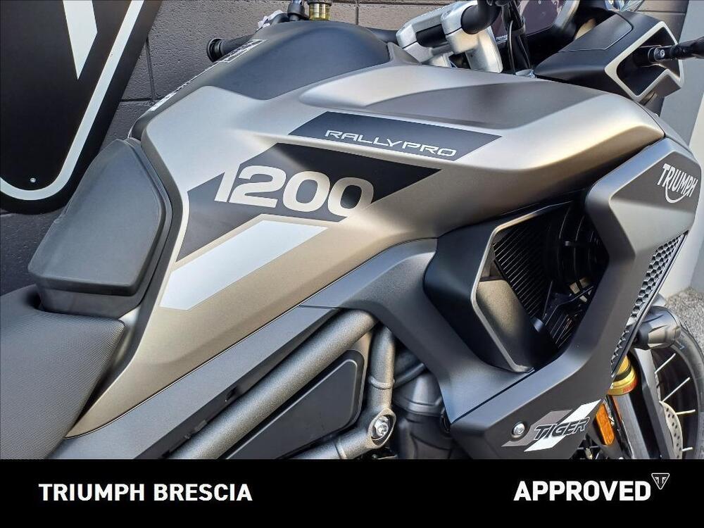 Triumph Tiger 1200 Rally Pro (2024 - 26) (6)