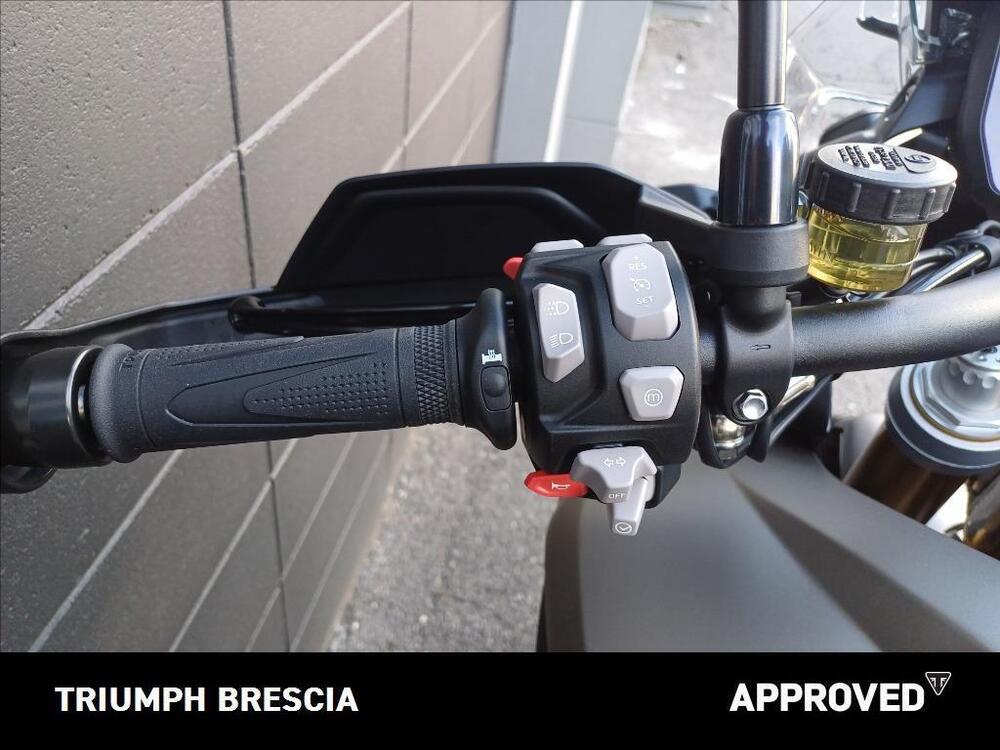 Triumph Tiger 1200 Rally Pro (2024 - 26) (8)