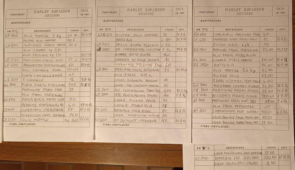 Harley-Davidson Old Boy (20)